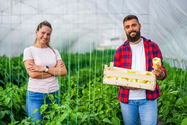 GESTIÓN E INCORPORACIÓN A LA EMPRESA AGRARIA (ADGD136PO)