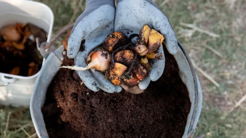 SUSTAINABLE TREATMENT OF AGRICULTURAL WASTE (AGAU032PO)