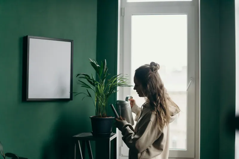 INTRODUCTION TO THE HEALTHY HOME (EOCB026PO)