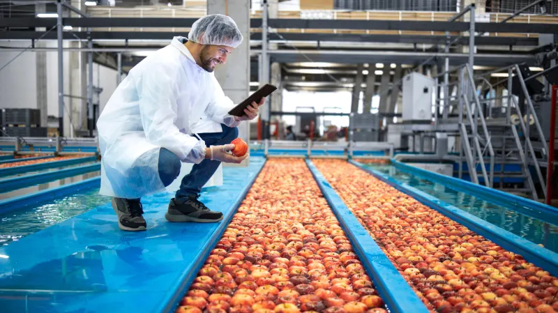 HACCP SYSTEM AND GOOD HYGIENE PRACTICES (INAD046PO)