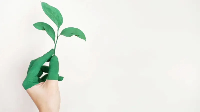 ENVIRONMENTAL IMPACT ASSESSMENT (SEAG021PO)